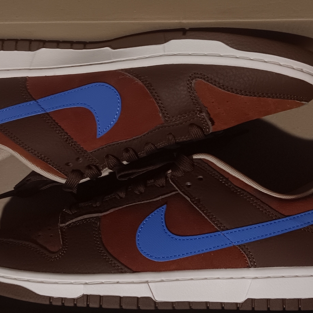 Nike dunks low tops men size 10.5